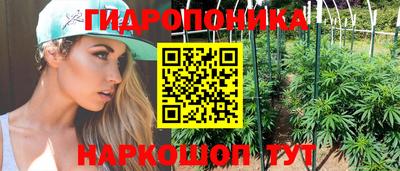 мдпв Пушкино
