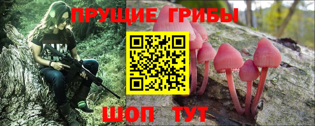 Ртищево  Псилоцибиновые грибы Cubensis  Вход с VPN 